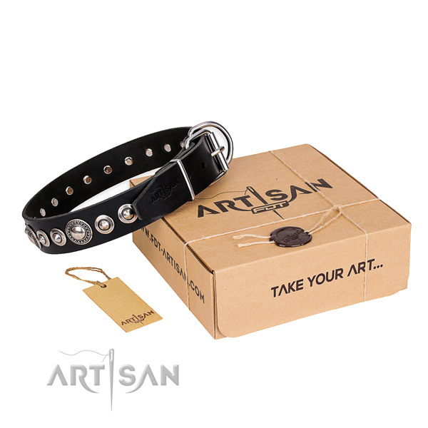 Walking natural leather dog collar with decorations