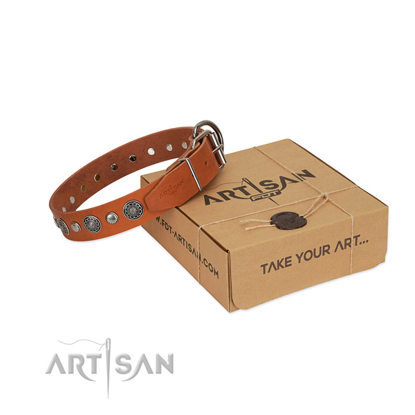 Full grain natural leather collar with rust resistant fittings for your attractive pet