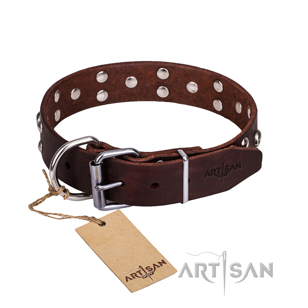 Everyday walking dog collar of best quality full grain genuine leather with adornments