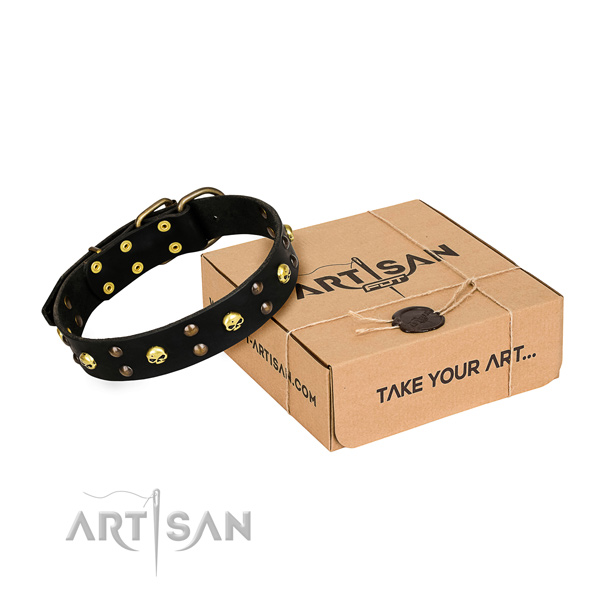 Everyday walking dog collar of fine quality natural leather with adornments
