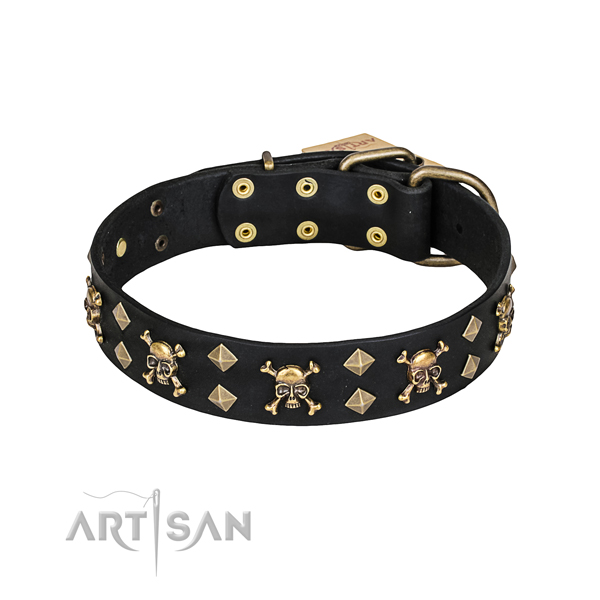 Stylish walking dog collar of high quality genuine leather with decorations