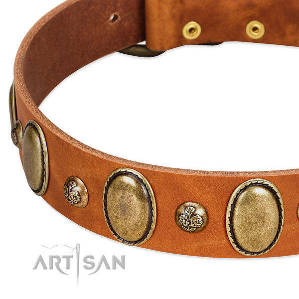 Leather dog collar with extraordinary adornments