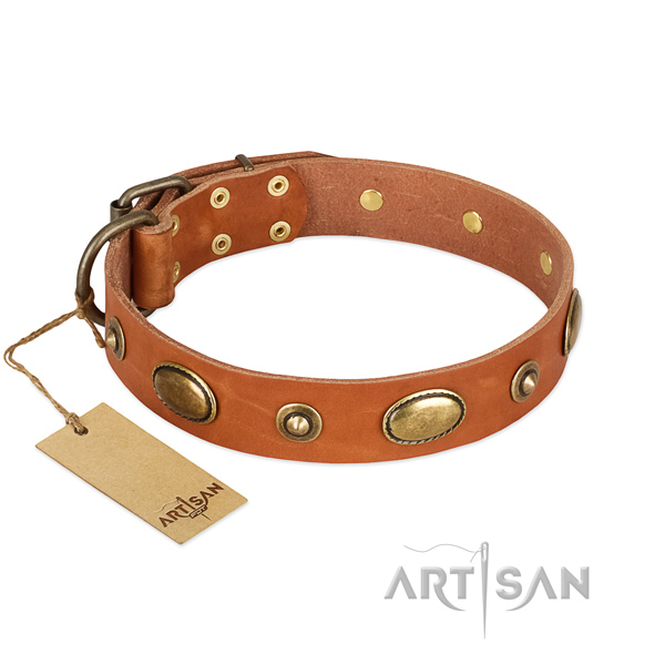 Adorned natural leather collar for your dog