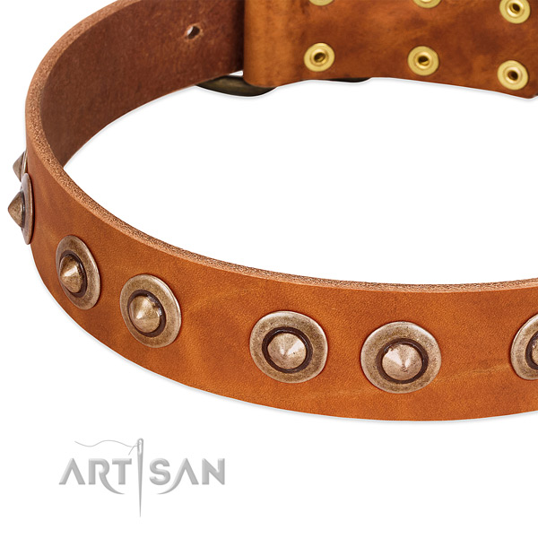 Durable embellishments on leather dog collar for your four-legged friend