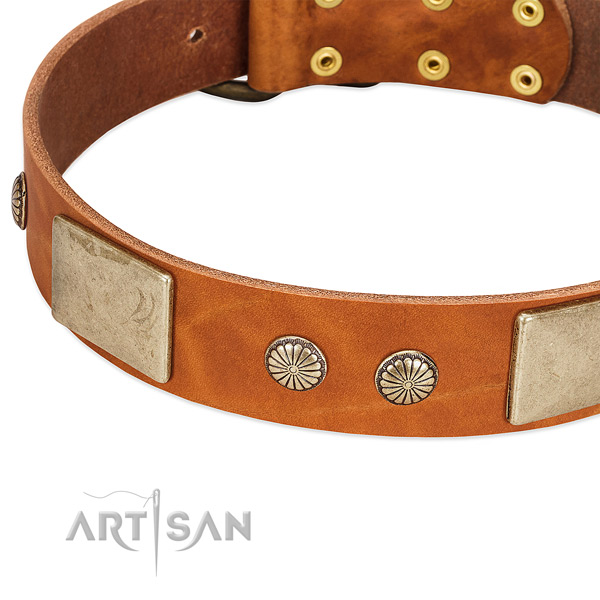 Rust resistant D-ring on genuine leather dog collar for your pet