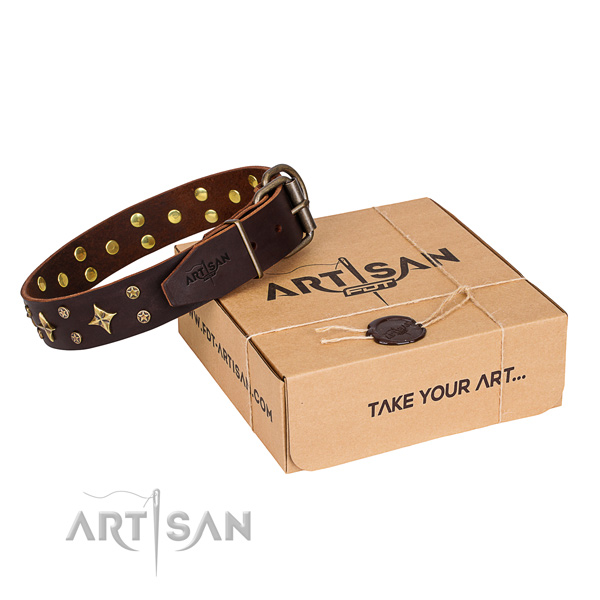 Basic training dog collar of quality genuine leather with decorations