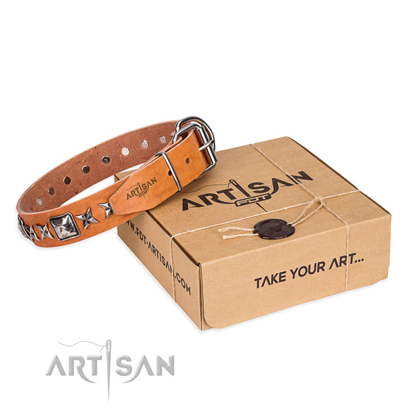 Handy use dog collar of best quality full grain genuine leather with embellishments