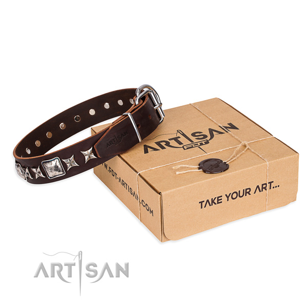 Everyday use dog collar of top quality genuine leather with studs