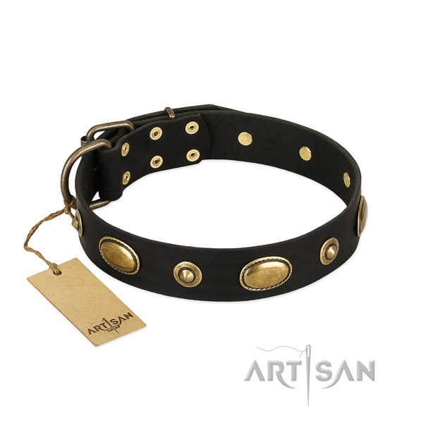Perfect fit genuine leather collar for your canine
