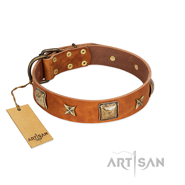 Amazing full grain leather collar for your dog