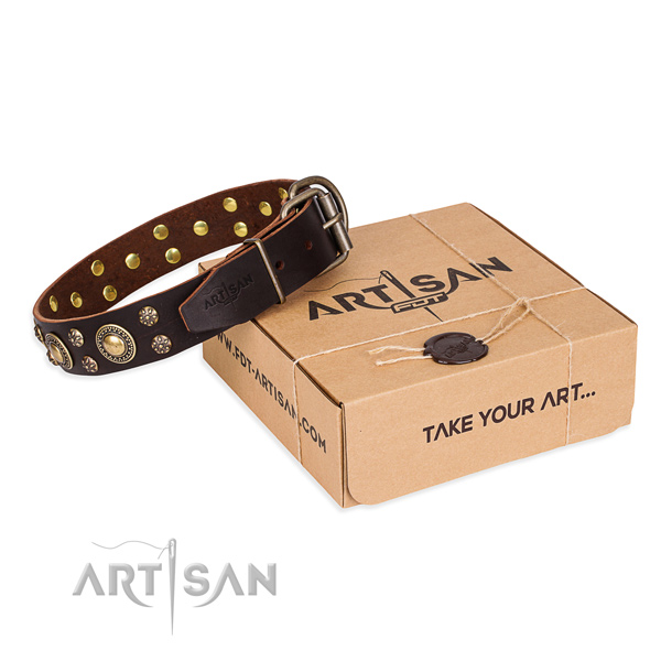 Stylish walking dog collar of reliable natural leather with adornments