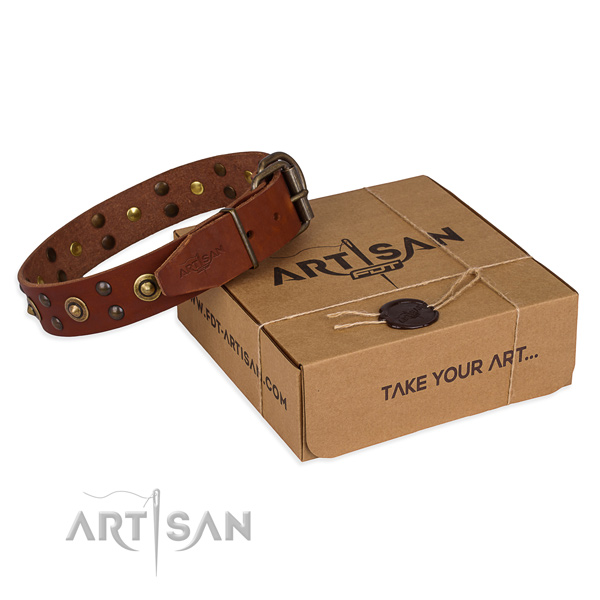 Strong traditional buckle on full grain genuine leather collar for your lovely doggie