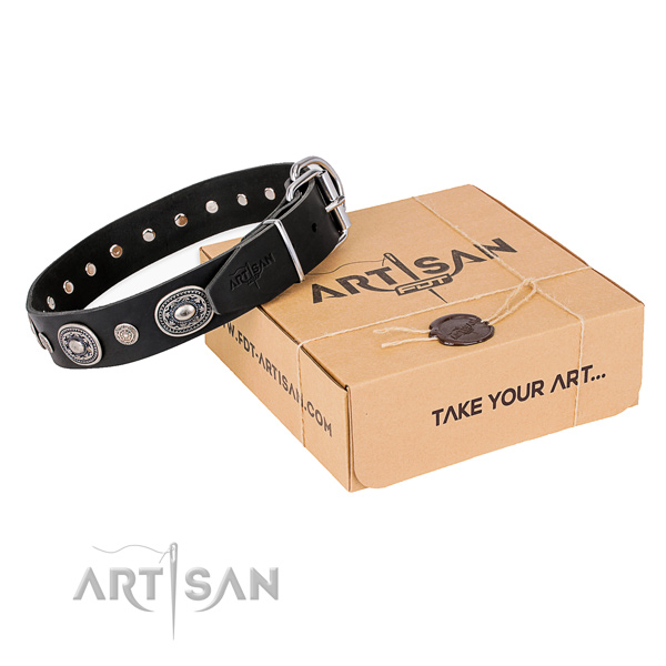 High quality full grain natural leather dog collar crafted for everyday walking