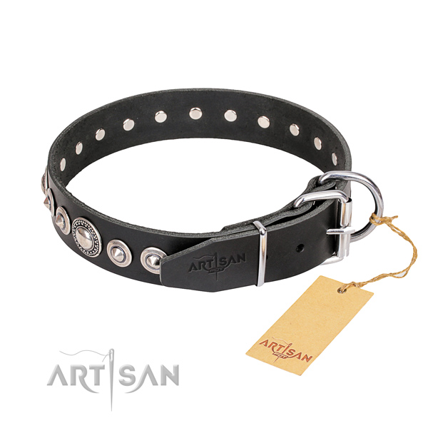 Top notch embellished dog collar of leather