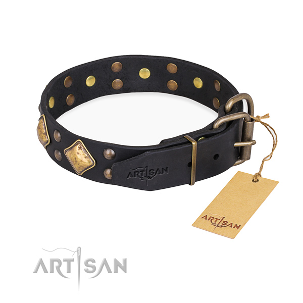 Full grain natural leather dog collar with extraordinary corrosion proof adornments