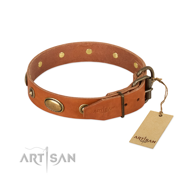 Strong traditional buckle on full grain leather dog collar for your canine
