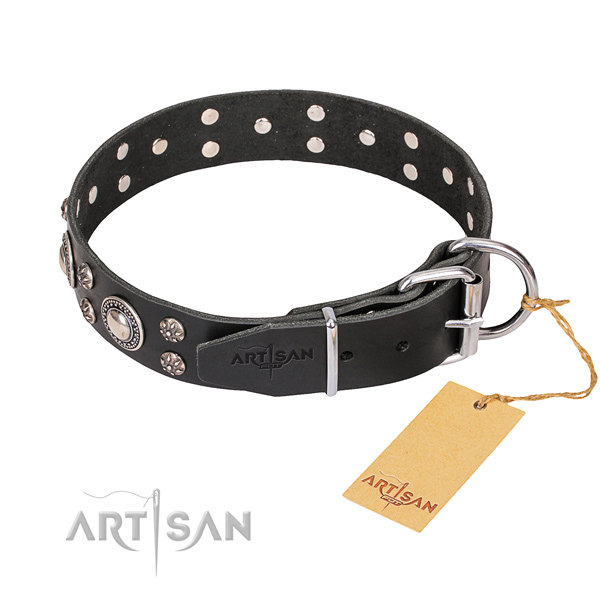 Daily walking adorned dog collar of strong natural leather