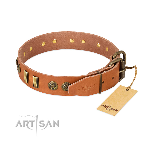 Rust-proof decorations on natural leather dog collar for your pet