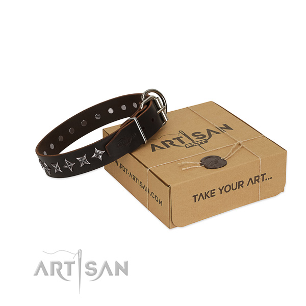 Daily use dog collar of quality full grain leather with decorations