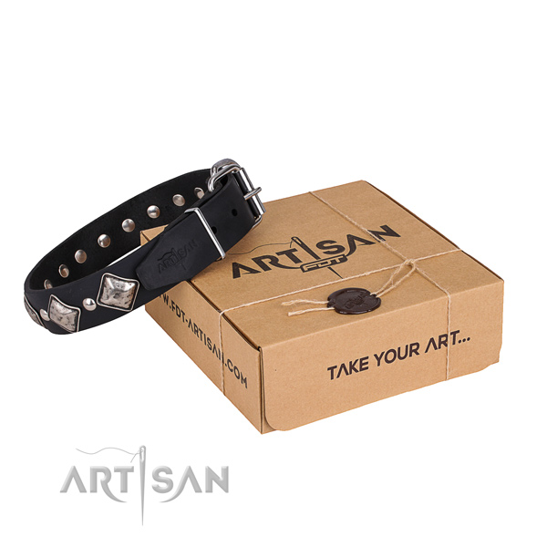 Stylish walking dog collar of fine quality natural leather with embellishments