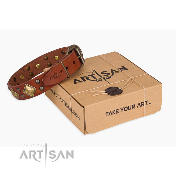 Everyday walking dog collar with Trendy rust resistant decorations