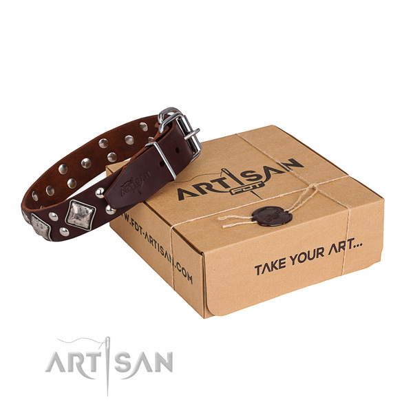 Comfortable wearing dog collar with Top notch rust resistant studs