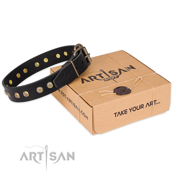 Rust-proof buckle on full grain genuine leather collar for your lovely canine