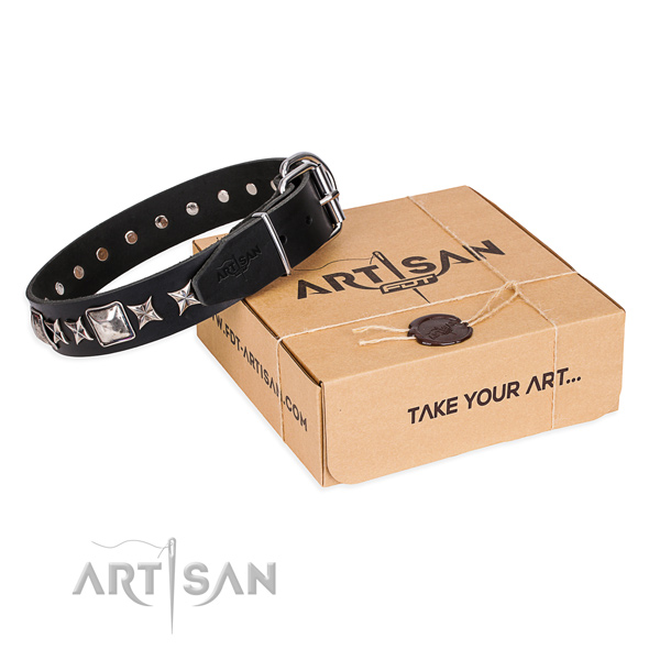 Everyday use dog collar of finest quality genuine leather with decorations