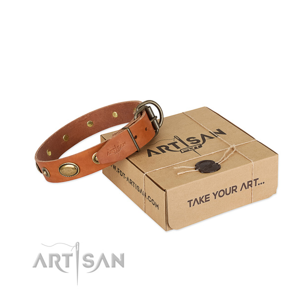 Fashionable full grain leather collar for your handsome dog