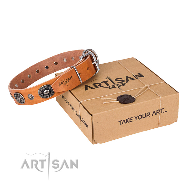 Top rate full grain leather dog collar handmade for daily walking