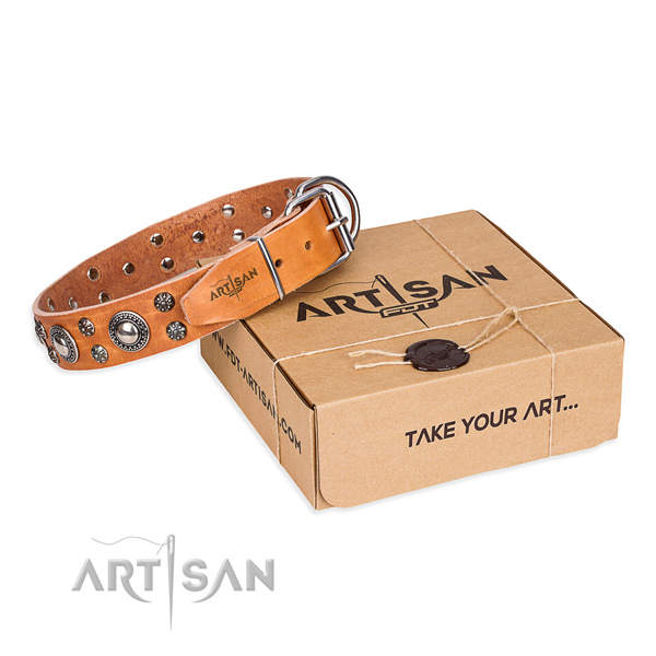 Comfortable wearing dog collar of quality full grain leather with embellishments