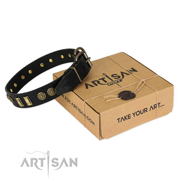 Corrosion proof studs on genuine leather dog collar for your dog
