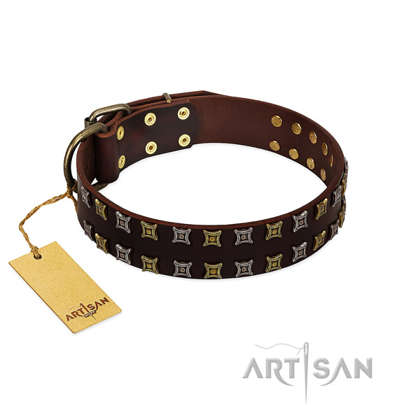 Soft full grain genuine leather dog collar with studs for your four-legged friend