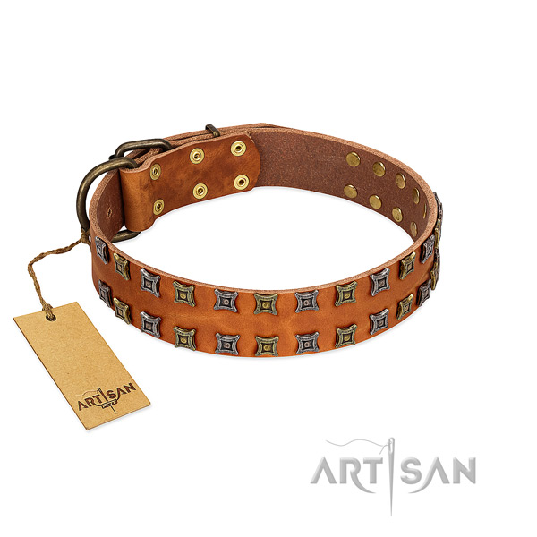 Durable full grain leather dog collar with decorations for your dog