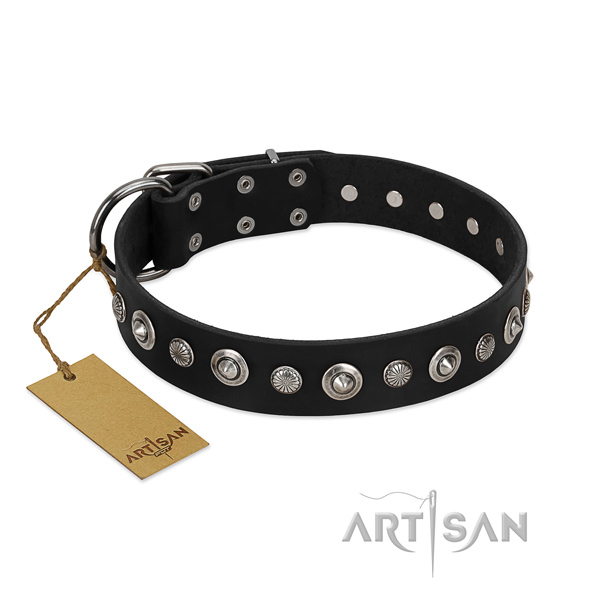 Finest quality natural leather dog collar with stunning adornments