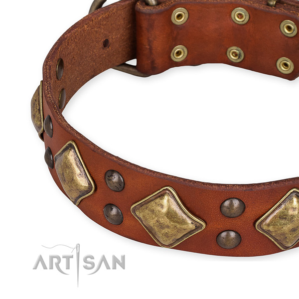 Full grain natural leather collar with durable hardware for your stylish dog