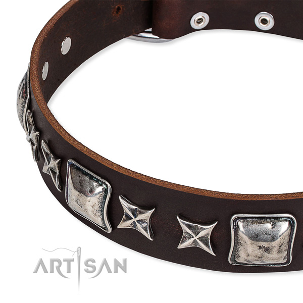 Walking decorated dog collar of fine quality full grain leather