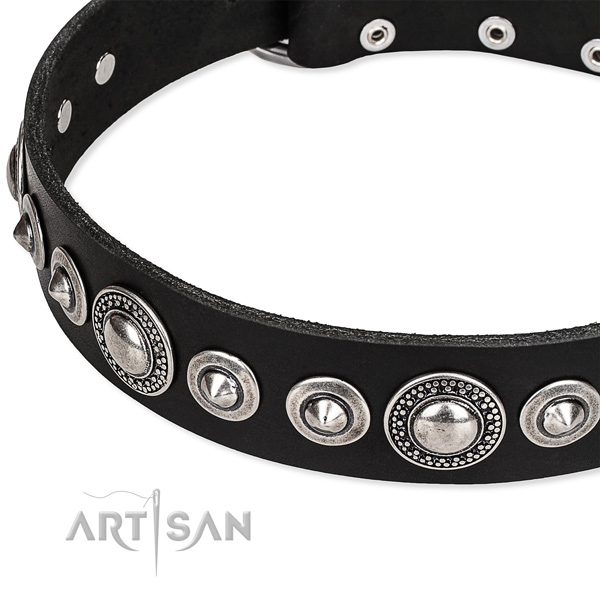 Daily walking embellished dog collar of high quality full grain leather
