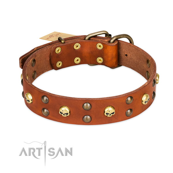 Comfortable wearing dog collar of reliable genuine leather with decorations