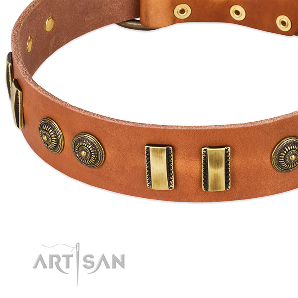 Durable fittings on natural leather dog collar for your pet