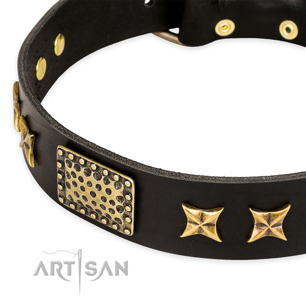 Full grain natural leather collar with rust-proof fittings for your lovely four-legged friend