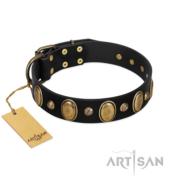 Full grain natural leather dog collar of reliable material with trendy embellishments