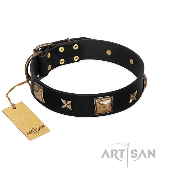 Natural leather dog collar of high quality material with stylish design adornments
