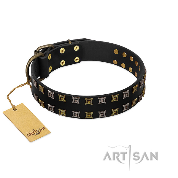 Strong natural leather dog collar with studs for your dog